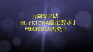 片岡愛之助 隠し子に「DNA鑑定要求」 母親が怒りの告発！ !