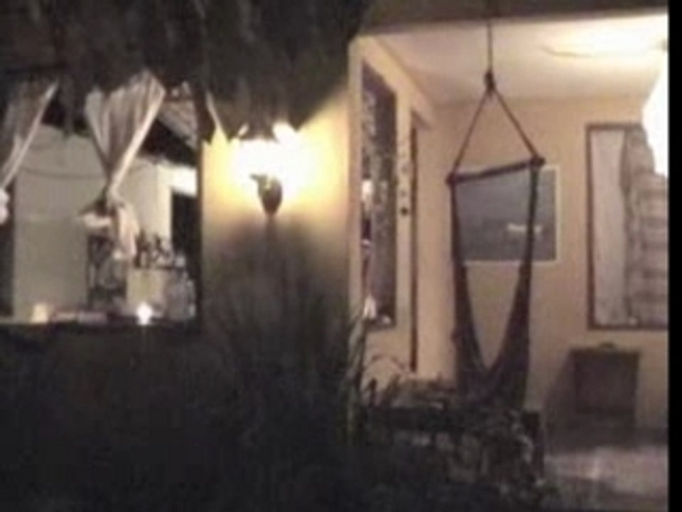 The house
