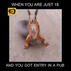 when ur are just 18 and u got entry in a pub