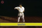Shotokan Karate - Masao Kawazoe 4 - Kihon part2 (Кихон в Каратэ)