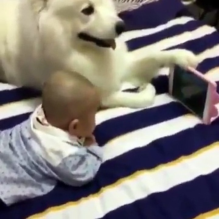 dog holding phone for a kid