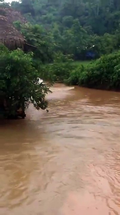 bus shrink in flood live footage
