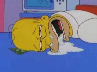 Svinkels - petit con