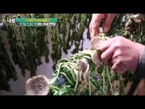 한겨울 찬 물로 목욕하는 94세 면역왕 [내 몸 사용 설명서] 82회 20151225