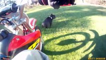 Angry Dogs Attack Motorcyclists _ Bikers Helpinsg & Rescues