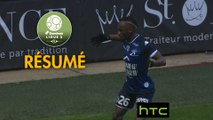 ESTAC Troyes - Stade de Reims (2-0)  - Résumé - (ESTAC-REIMS) / 2016-17