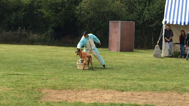 Compétition au club canin de Sablé-sur-sarthe