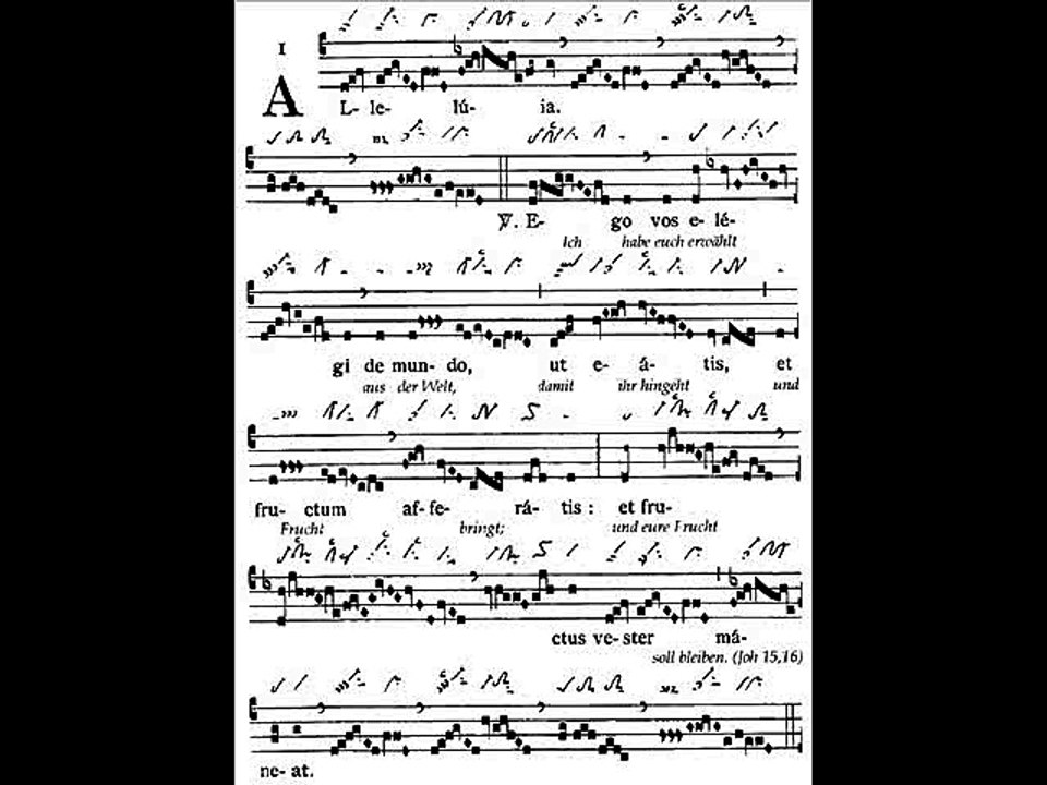 Alleluia Ego vos elegi, Dominica VI paschae (6 TP)