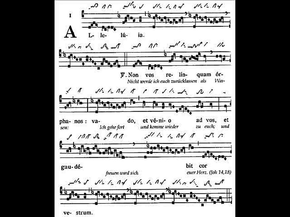 Alleluia Non vos relinquam, Dominica VI paschae (6 TP)