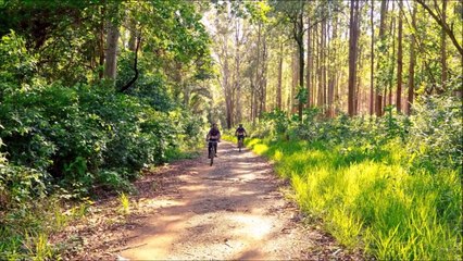 What if the earth was twice as big [HINDI]