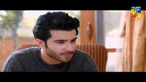 Woh Aik Pal Episode 10 - 13th May 2017