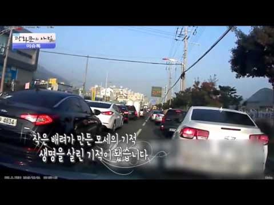 크리스마스를 위협하는 크리스마스트리?! [광화문의 아침] 139회 20151223