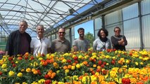 Digne-les-Bains : 37000 nouvelles fleurs plantées dès lundi par le service Parcs et Jardins