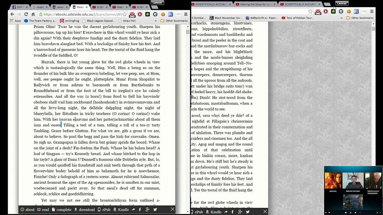Finnigan's Wake Reading 3
