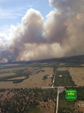 Wildfire Grows to 1,000 Acres in North Port