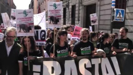 Ispanya'da Boğa Güreşi Karşıtlarından Gösteri