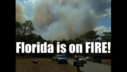 Florida Wildfires Spring 2017