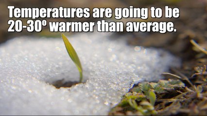 Record breaking February warmth