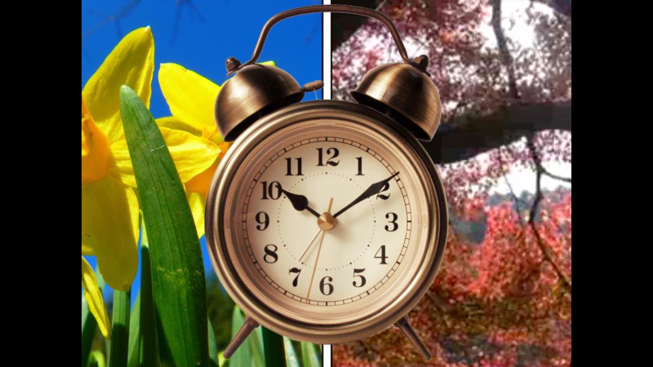 Daylight Saving Time's Brief History