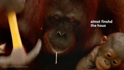 Rust: How I feel building a base as a noob