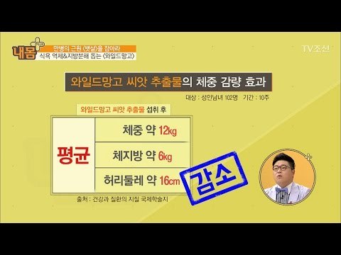 식욕 억제와 지방 분해를 돕는 와일드 망고 [내 몸 플러스] 58회 20170514