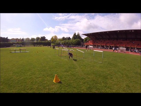 Animation Athlétisme Arcueil le 13/05/2017 Parcours de motricité éveils garçons