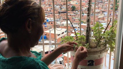 Madres venezolanas luchan con dolores y ausencias