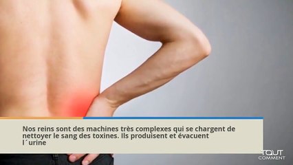 3 recettes de jus naturels pour nettoyer les reins-oED1cPs84Vw