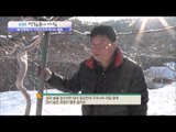 치악산으로 떠나는 행복 [광화문의 아침] 133회 20151215