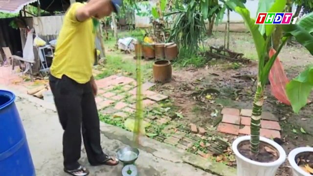 Phát hoảng với con Rắn lục đuôi đỏ nặng gần 750 gram và dài hơn một thước xuất hiện ở huyện Cao Lãnh