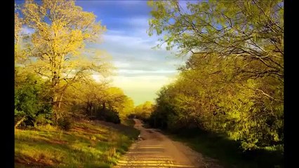 EL CAMINO DEL SEÑOR Musica Cristiana -