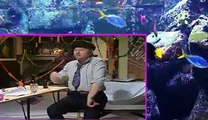 The Benny Hill Show S4 E2 The Common Market Square Dance , Online free watch tv series 2017