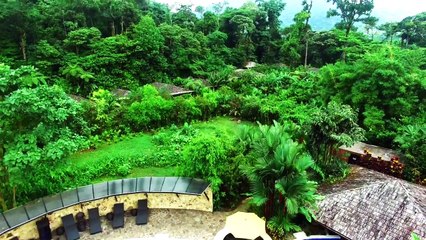Yoga Retreat to Rio Celeste Hideaway Teaser