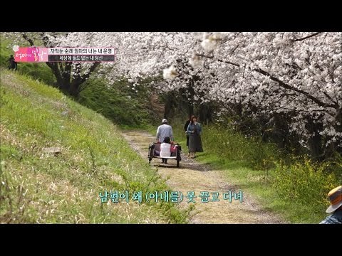 순례 엄마의 전용차, 남편이 끌어주는 리어카! [엄마의 봄날] 88회 20170514