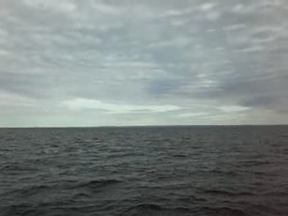 CIMG0351