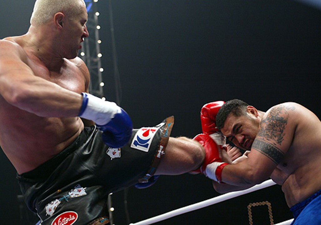 Mark Hunt vs. Jerome Le Banner