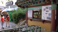 강원도의 힘.991