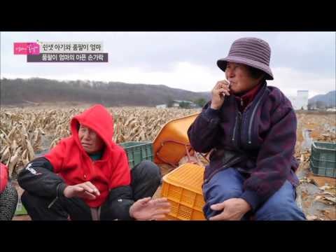 품팔이 엄마의 굽은 허리 [엄마의 봄날] 23회 20151214
