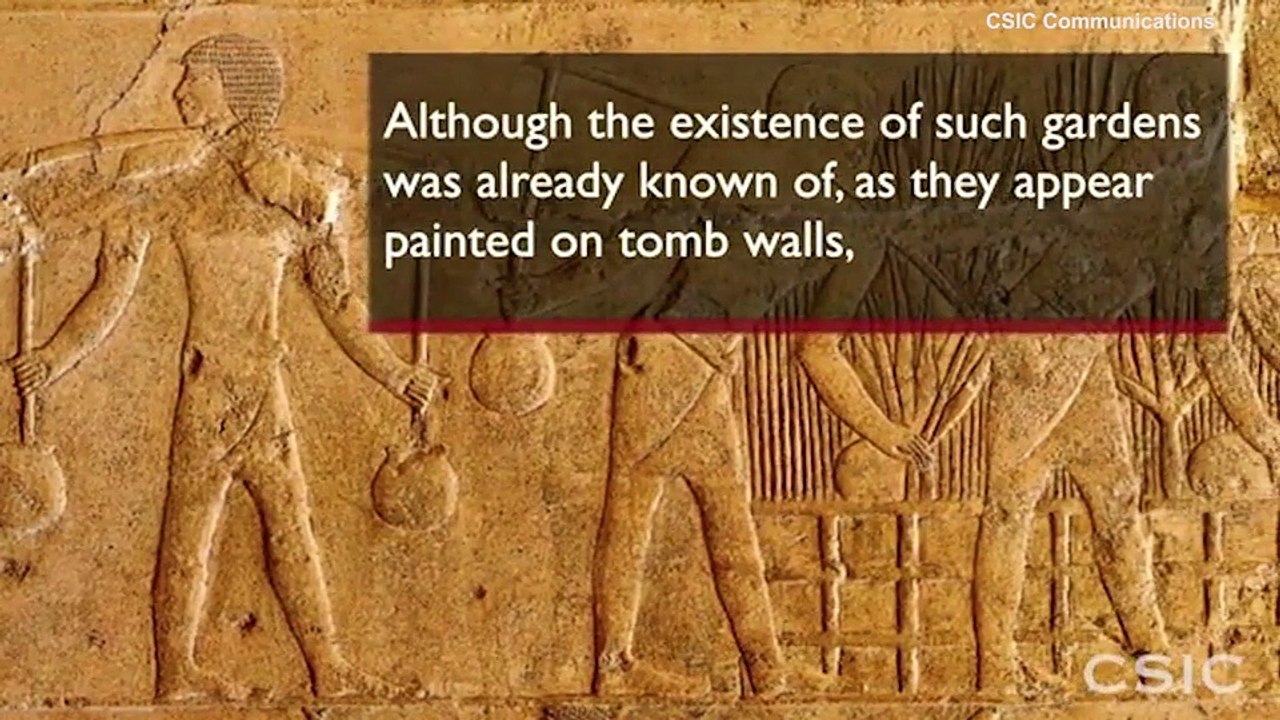 Egyptian archaeologists unearth 2,300-year-old necropolis