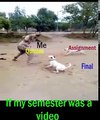 Funny video for Semester Students Hahahahaha