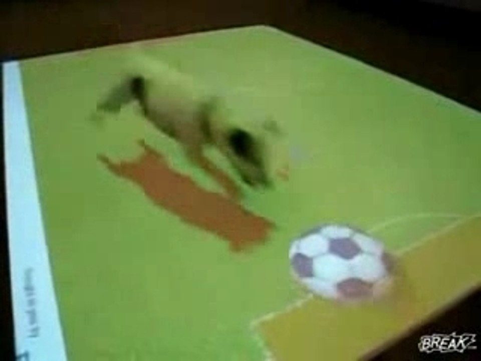 Un Chien Court Après Un Ballon Virtuel