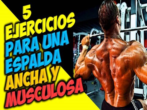 Como Sacar y Tener una Espalda Ancha Masa Muscular En Forma de V 5 Ejercicios Para Los Dorsales