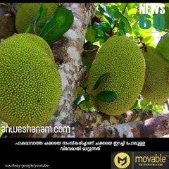 ചക്ക ഇറച്ചിയാ ...അപ്പൊ കുരുവോ... #News60  Subscribe to Anweshanam today: https://goo.gl/WKuN8s  Please Like our Page 