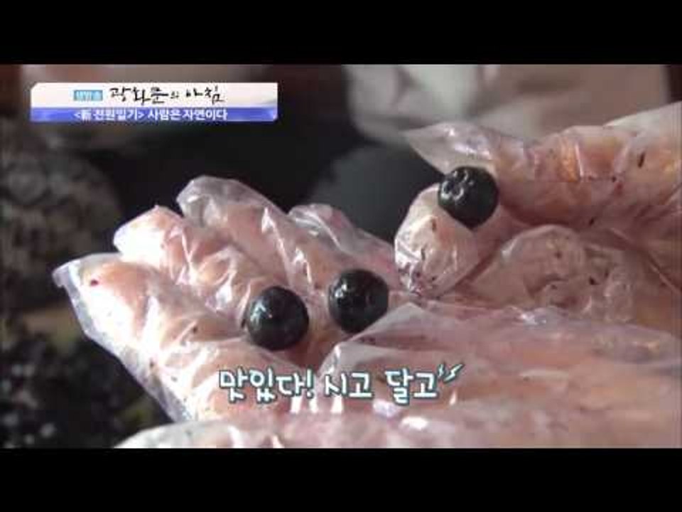 사람은 자연이다 [광화문의 아침] 128회 20151208