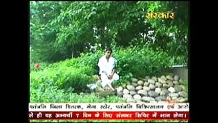 Leadwort ! चित्रक के औषधीय गुण # Acharya Balkrishna