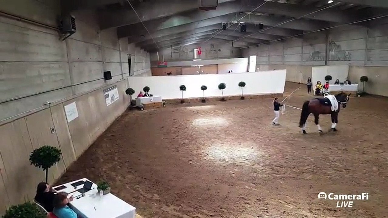 Stream-Test Biel 10:30