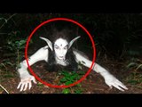 5 Mysterious Creatures Caught On Camera & Spotted In Real Life! #3