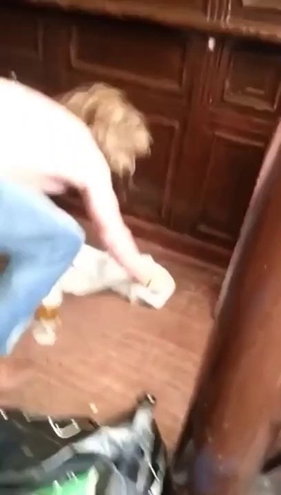 Il s'éclate au sol en buvant sa bière la tête à l'envers