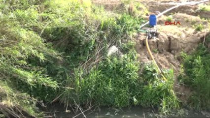 Balıkesir Gönen Çayı'nda Kirlilik