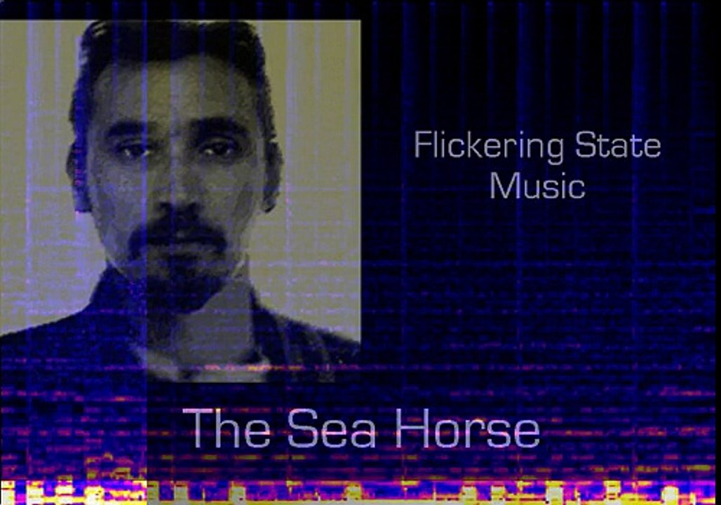 The Sea Horse